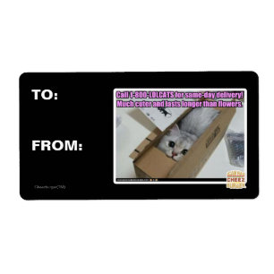 Anruf 1-800-LOLCATS