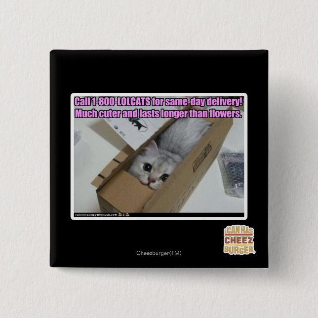 Anruf 1-800-LOLCATS Button (Vorderseite)