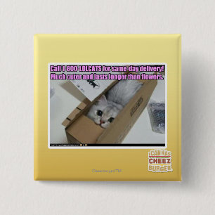 Anruf 1-800-LOLCATS Button