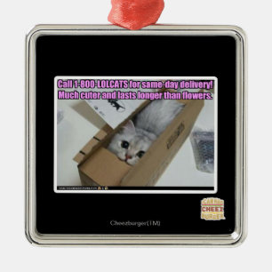 Anruf 1-800-LOLCATS Ornament Aus Metall