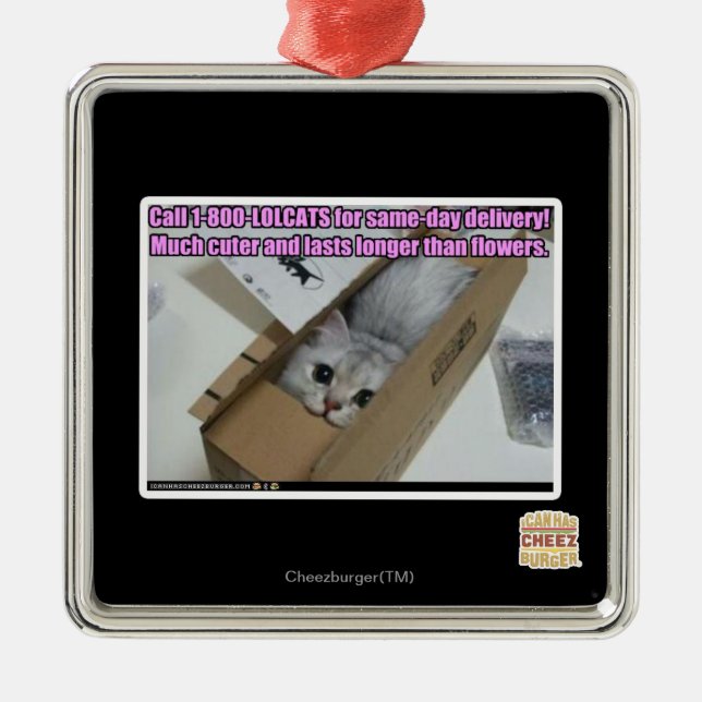 Anruf 1-800-LOLCATS Ornament Aus Metall (Vorne)