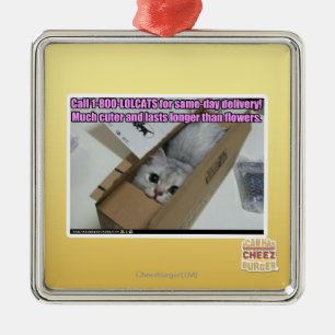 Anruf 1-800-LOLCATS Ornament Aus Metall
