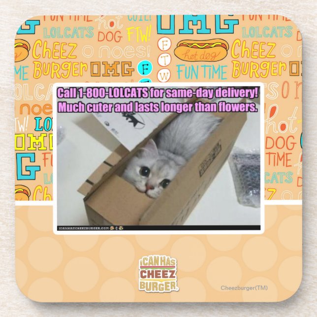 Anruf 1-800-LOLCATS Untersetzer (Vorderseite)