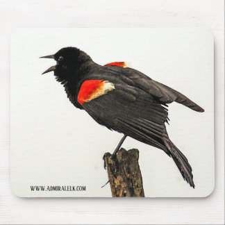 Anruf vom wilden mousepad