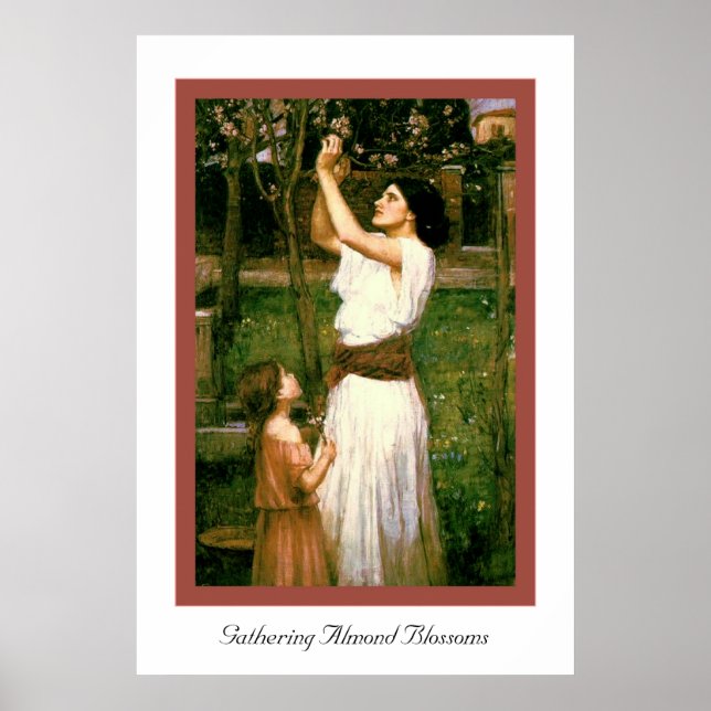 Ansammlung Almond-Blüten Poster (Vorne)