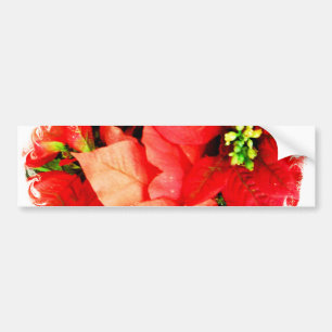 Ansammlung Autoaufkleber