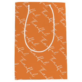 Ansammlung Erntedank Abendessen Mittlere Geschenktüte