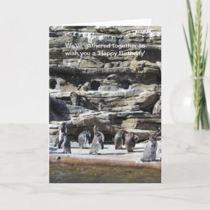 Ansammlung von Pinguinen Karte