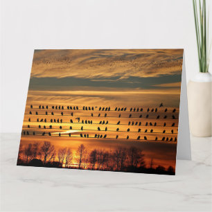 Ansammlung von Starlings Karte