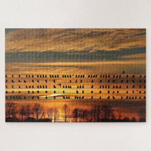 Ansammlung von Starlings Puzzle