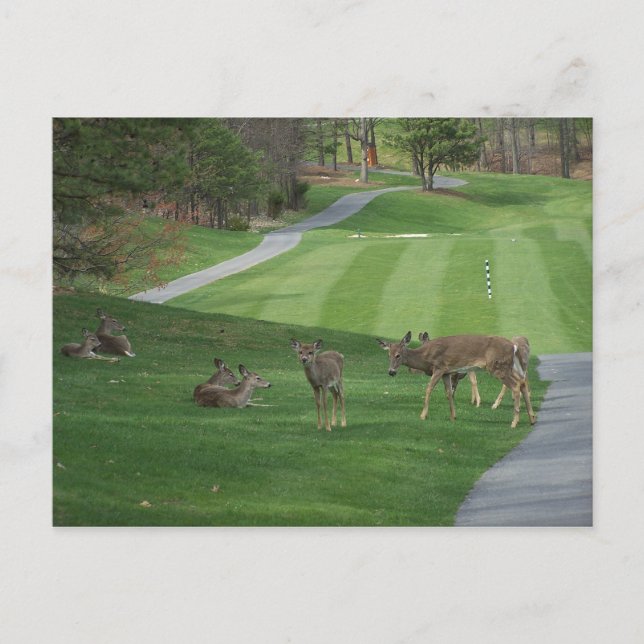 Anschauen der N-Kälte Postkarte (Vorderseite)