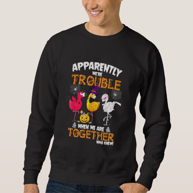 Anscheinend Waren Wir Ärger Als Wir Zusammen Flami Sweatshirt (Vorderseite)