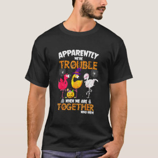 Anscheinend Waren Wir Ärger Als Wir Zusammen Flami T-Shirt