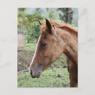 Anse Ger2 Postkarte