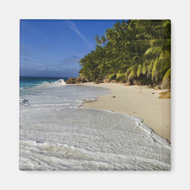 Anse Victorin Beach 2 Magnet (Vorne)