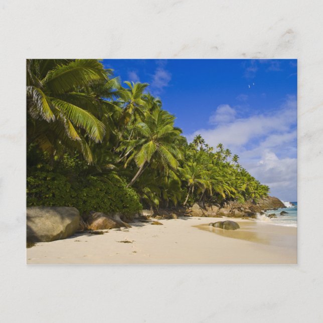 Anse Victorin Beach 3 Postkarte (Vorderseite)