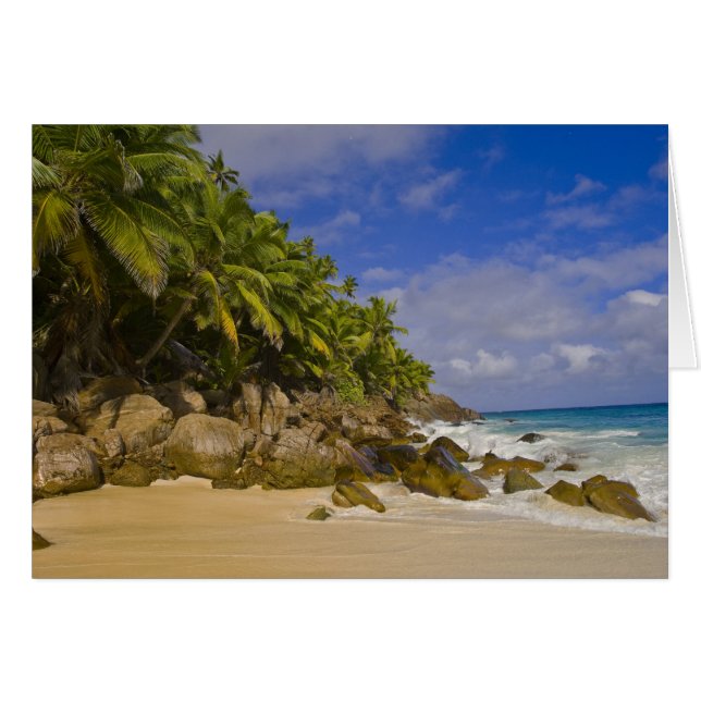 Anse Victorin Beach 4 (Vorderseite (Horizontal))
