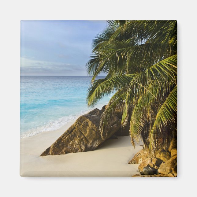 Ansi Victorin Beach Magnet (Vorne)