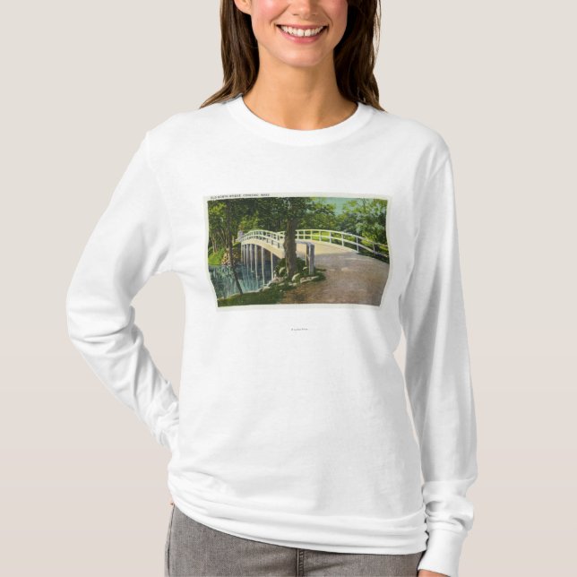 Ansicht der alten Nordbrücke T-Shirt (Vorderseite)