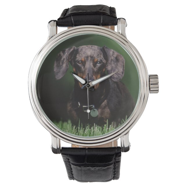 Ansicht der appelfarbenen Dackel Armbanduhr (Vorderseite)