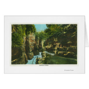 Ansicht der Auslauffähigkeit