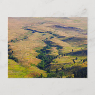 Ansicht der Ebenen um die Bärenstube herum, SD Postkarte