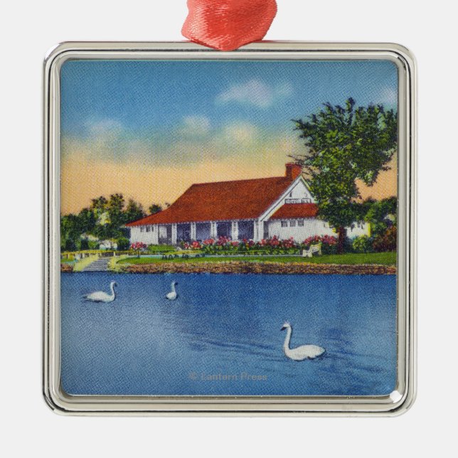 Ansicht der Hoopes Park-Schwäne auf dem See Silbernes Ornament (Vorne)