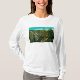 Ansicht der Hurrikangulch-Brücke, Alaska T-Shirt