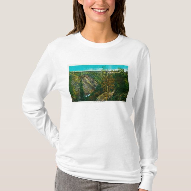 Ansicht der Hurrikangulch-Brücke, Alaska T-Shirt (Vorderseite)