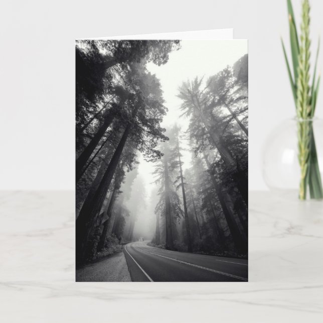 Ansicht der Mammutbaum-Bäume im Wald Karte (Vorderseite)