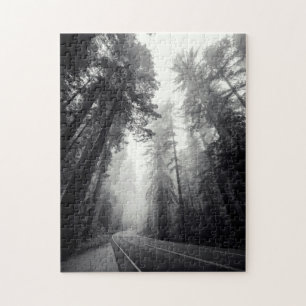 Ansicht der Mammutbaum-Bäume im Wald Puzzle