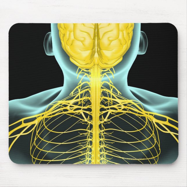 Ansicht der Nerven im oberen Körper von oben Mousepad (Vorne)