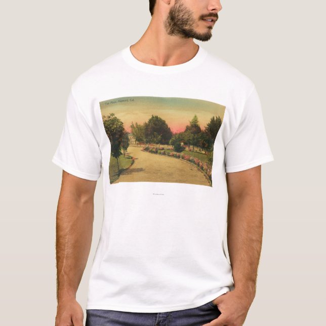 Ansicht der Stadt PlazaHayward, CA T-Shirt (Vorderseite)