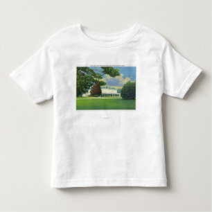 Ansicht der Tanglewood Musik-Halle und des Bodens Kleinkind T-shirt