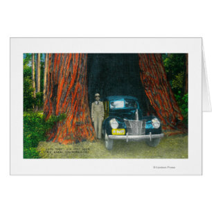 Ansicht des Auto TreeBig Becken-Staats-Parks, CA