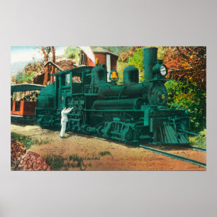 Ansicht des Bahnzugs Mt. Tamalpais Poster