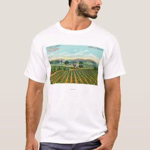 Ansicht des Giersberg VineyardNapa, CA T-Shirt