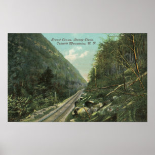 Ansicht des Grand Canyon und der Stoney Nelke Poster