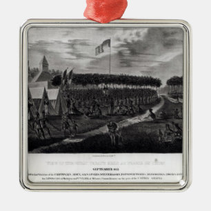 Ansicht des großen Vertrags hielt am Grasland DU Silbernes Ornament