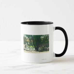 Ansicht des Hot Springs Pond Tasse