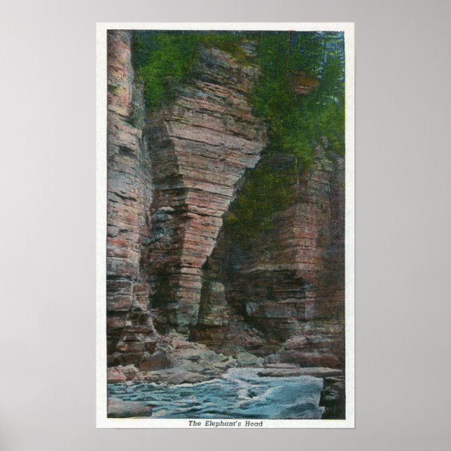 Ansicht des Kopfes des Elefanten Poster (Vorne)