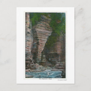 Ansicht des Kopfes des Elefanten Postkarte