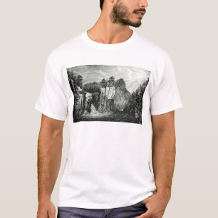Ansicht des Passaic Fluss-Wasserfalls, New-Jersey T-Shirt