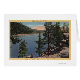 Ansicht des Sees durch die Kiefern