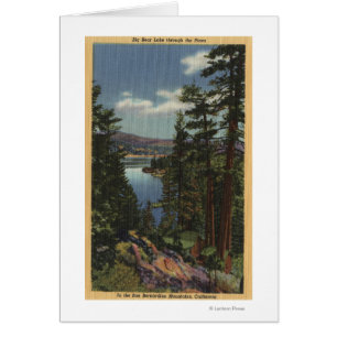 Ansicht des Sees durch die Kiefern # 2