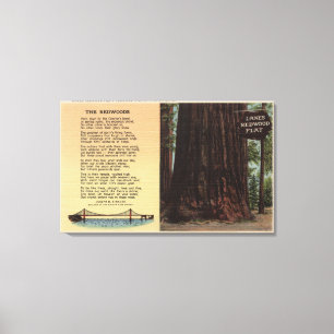 Ansicht des Weg-Rotholzes flach Leinwanddruck