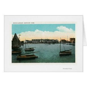 Ansicht des weißen Elefanten