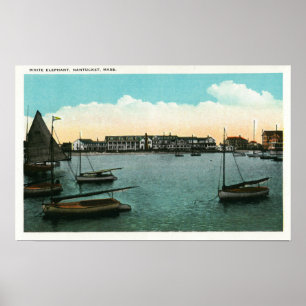 Ansicht des weißen Elefanten Poster