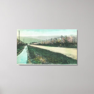 Ansicht einer Land-Straße während des Frühjahrs Leinwanddruck