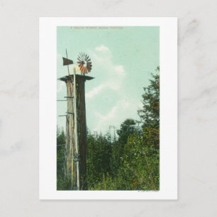 Ansicht einer Sequoia Wind MillEureka, CA Postkarte
